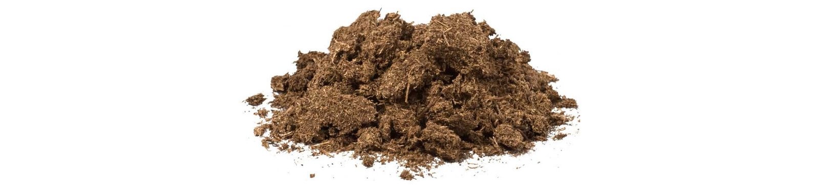 Innovacion en la tierra